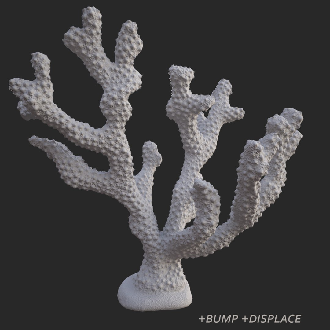 corals sun brain 3D model https://p.turbosquid.com/ts-thumb/ML/8BTIaU/0oBcOlfd/0513/jpg/1519238526/1920x1080/fit_q87/b5ff5350ca2f73958267406e2b7399835a0f20d9/0513.jpg