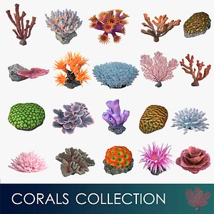 corals collection