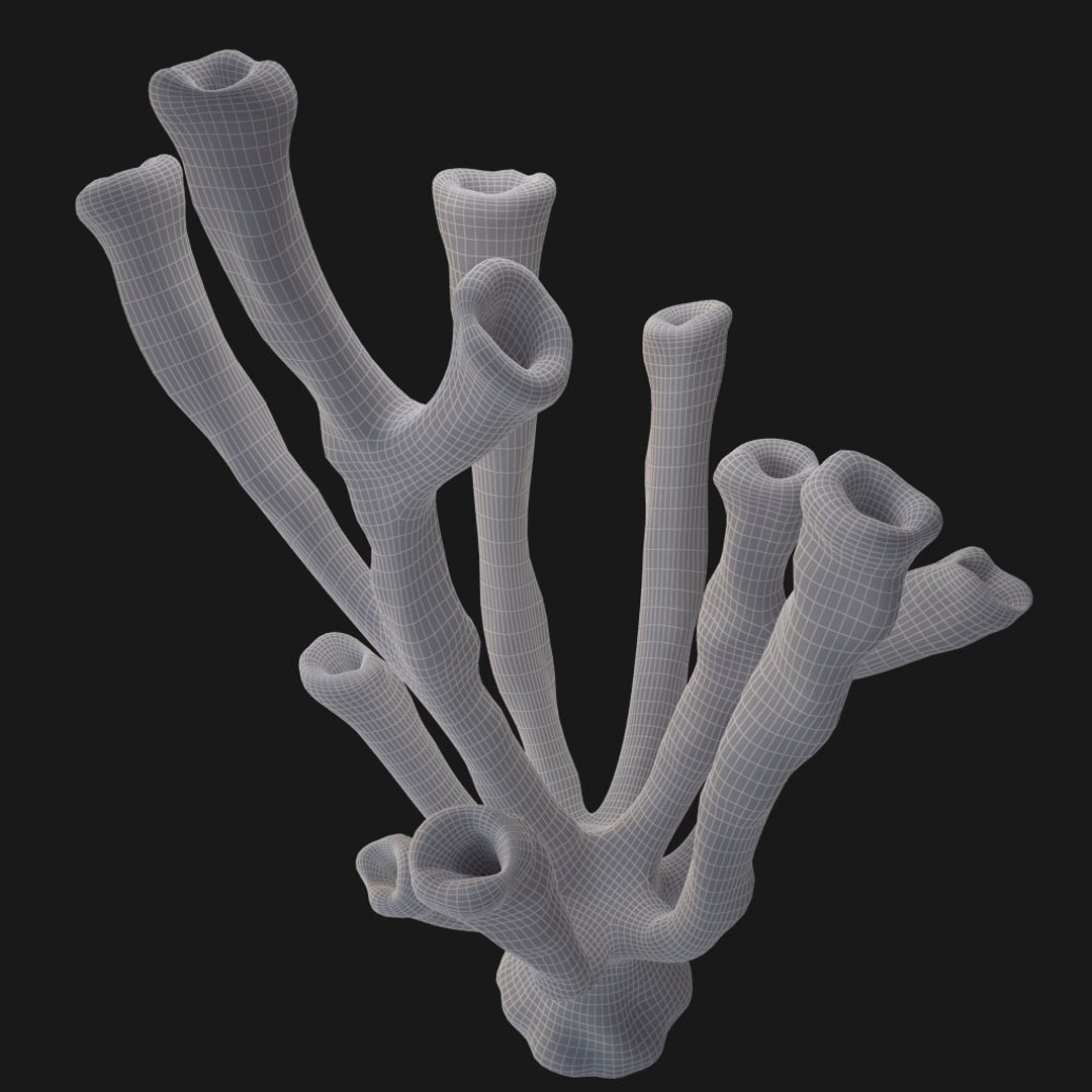 corals sun brain 3D model https://p.turbosquid.com/ts-thumb/ML/8BTIaU/3LUWNvSM/0810/jpg/1519238831/1920x1080/fit_q87/d97b964da76d3d0d2d5b7ba174ab28fb08451776/0810.jpg