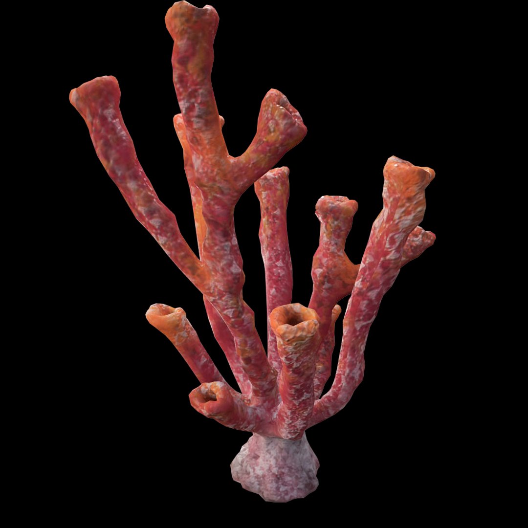 corals sun brain 3D model https://p.turbosquid.com/ts-thumb/ML/8BTIaU/556bVdiU/082/jpg/1519238830/1920x1080/fit_q87/1547b873c207a5922e2cd1abbdb0e8598be3ded4/082.jpg