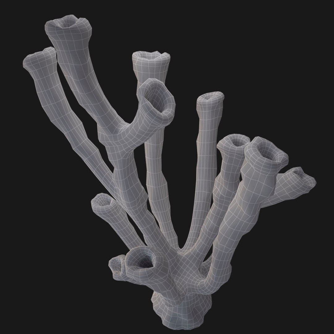 corals sun brain 3D model https://p.turbosquid.com/ts-thumb/ML/8BTIaU/9yC8yGYk/089/jpg/1519238830/1920x1080/fit_q87/82ac609e7299eae2e31a793057c3e27ffe3ed64a/089.jpg