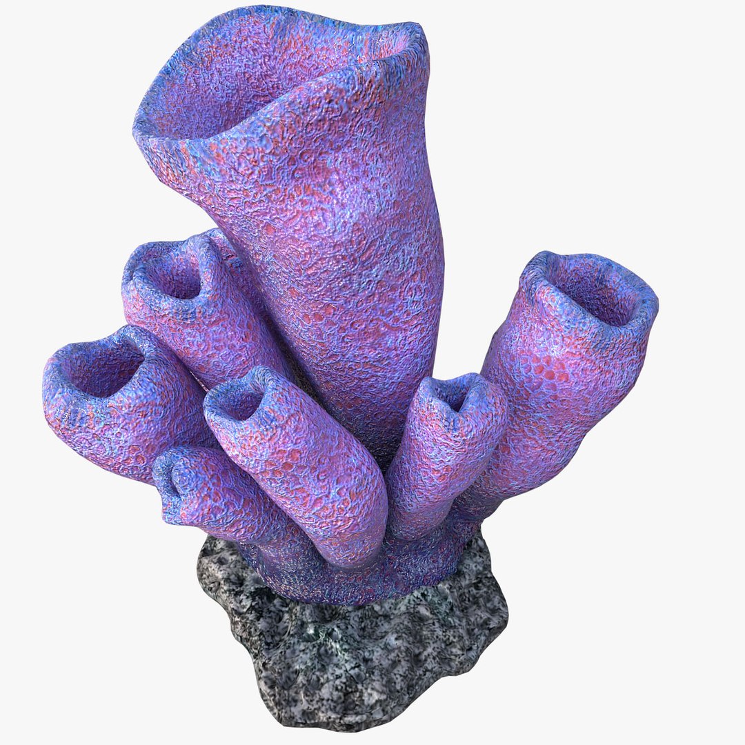 corals sun brain 3D model https://p.turbosquid.com/ts-thumb/ML/8BTIaU/AXs8gVn0/097/jpg/1519238930/1920x1080/fit_q87/df31513ebcd782f0a3fbf13bfddb31e2cbcab967/097.jpg