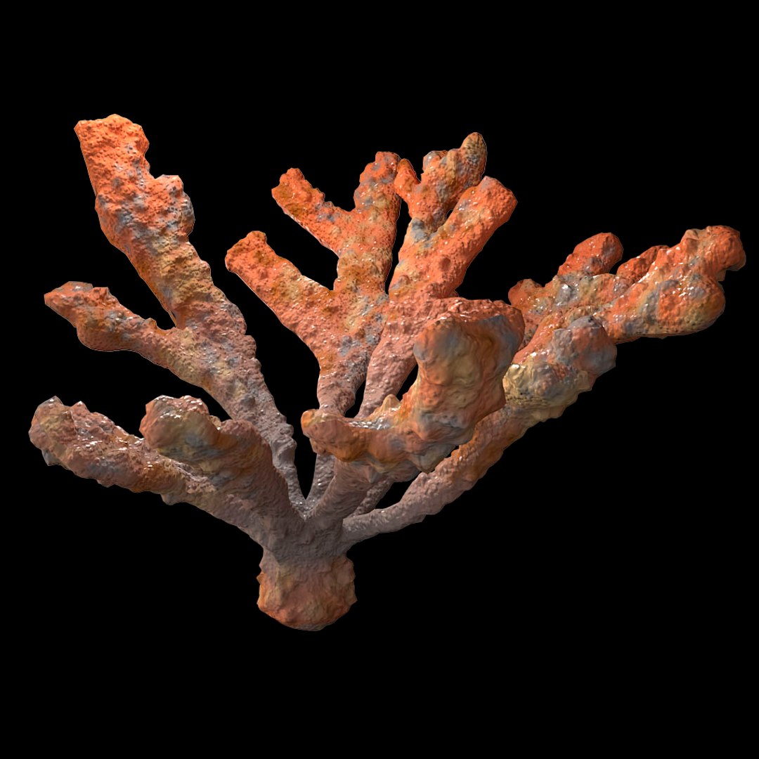 corals sun brain 3D model https://p.turbosquid.com/ts-thumb/ML/8BTIaU/D0lX8BCE/062/jpg/1519238633/1920x1080/fit_q87/481190f29802643fd8e3fe9f253f40672dd550c3/062.jpg
