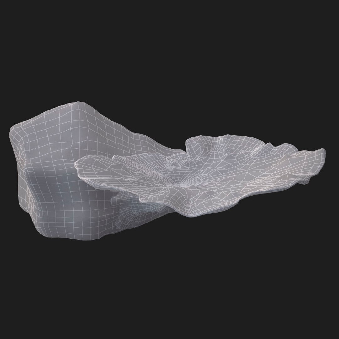 corals sun brain 3D model https://p.turbosquid.com/ts-thumb/ML/8BTIaU/Dh2Oshq3/0713/jpg/1519238733/1920x1080/fit_q87/93202e13d490ccea2a69511fc67e77d62c04a305/0713.jpg
