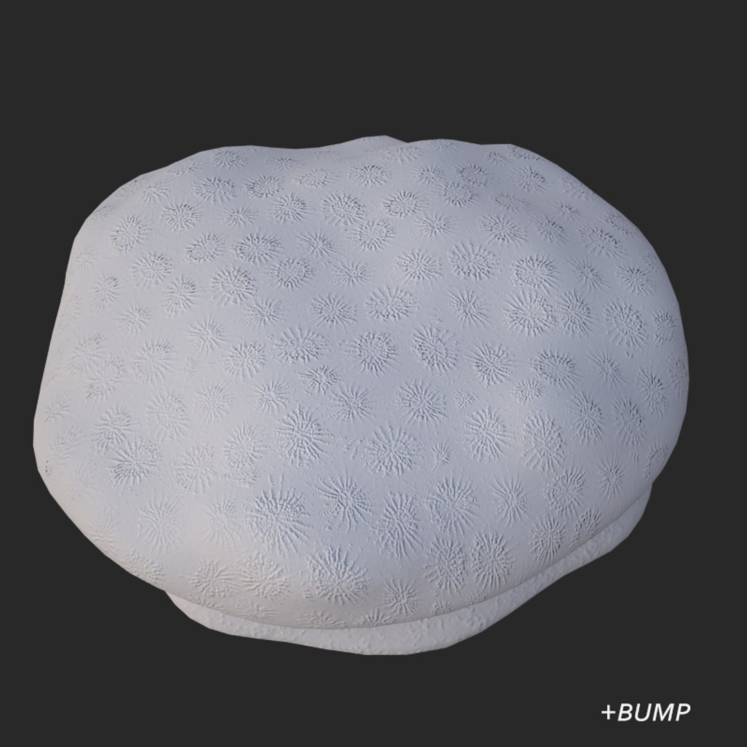 corals sun brain 3D model https://p.turbosquid.com/ts-thumb/ML/8BTIaU/F2mvEdIw/01117/jpg/1519239200/1920x1080/fit_q87/10f72fcef230698eb5865d2f64d9cb9c7cbeda87/01117.jpg