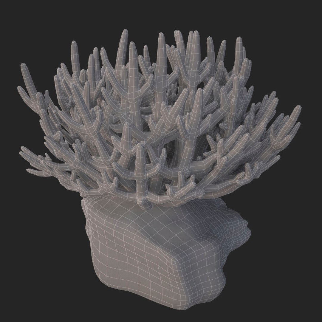 corals sun brain 3D model https://p.turbosquid.com/ts-thumb/ML/8BTIaU/F9fOT3vL/047/jpg/1519238311/1920x1080/fit_q87/593198e68c42f6e941d79802ad25afdeb352c65e/047.jpg