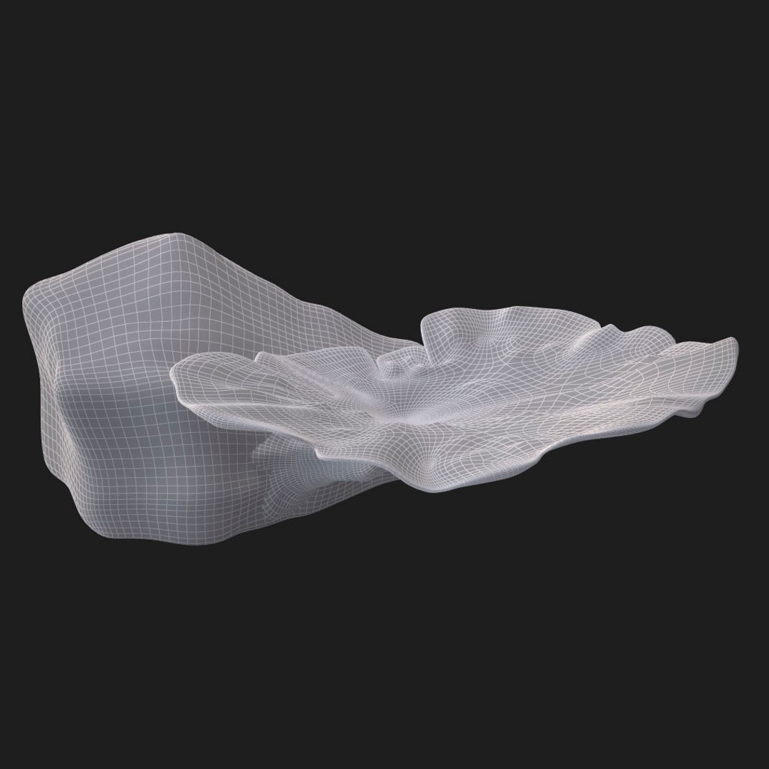corals sun brain 3D model https://p.turbosquid.com/ts-thumb/ML/8BTIaU/FEfitxOm/0714/jpg/1519238733/1920x1080/fit_q87/40b1baf02c2993b8dc4a33d4830c0f38f9776c33/0714.jpg