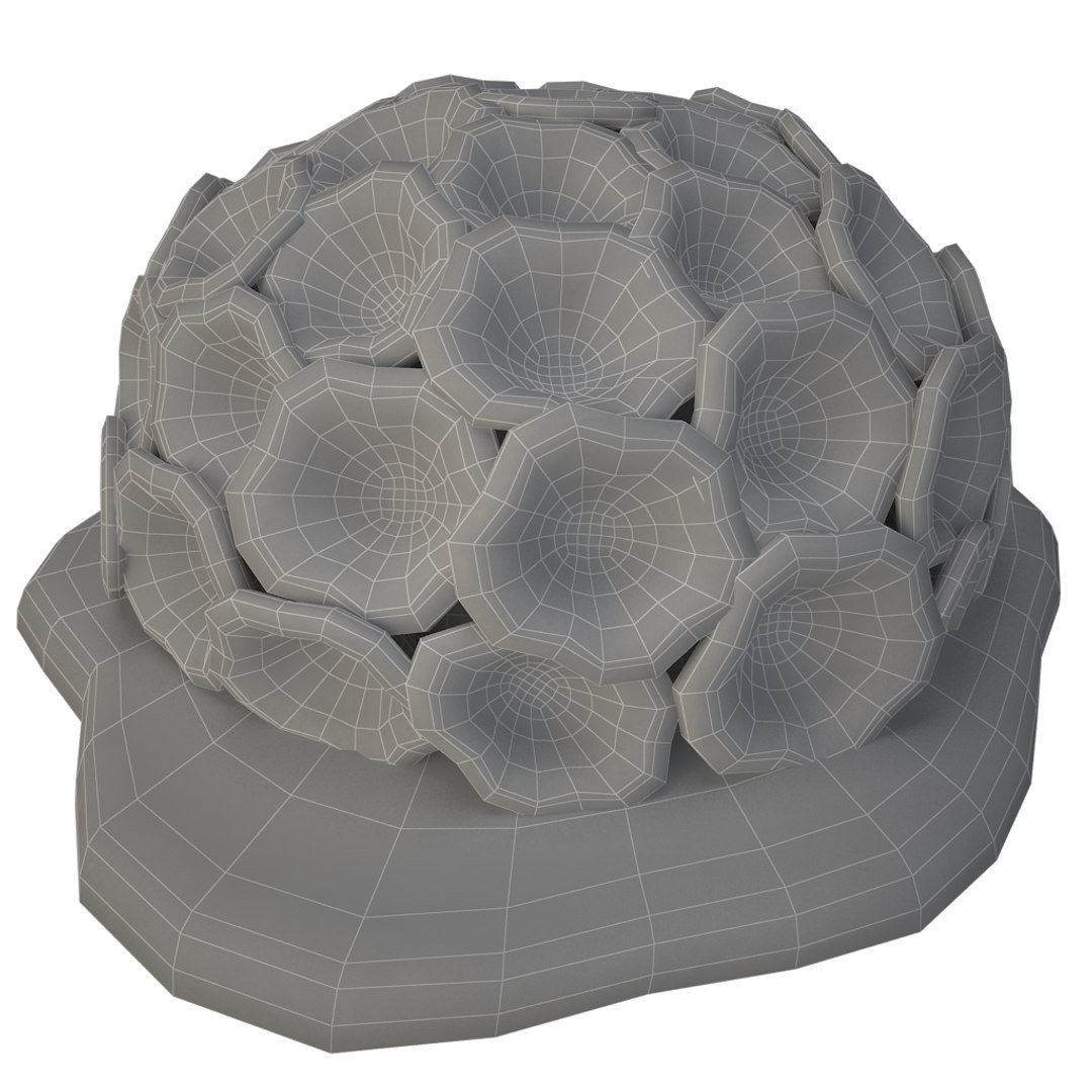 corals sun brain 3D model https://p.turbosquid.com/ts-thumb/ML/8BTIaU/H27Wifql/0121/png/1519239336/1920x1080/fit_q87/261fe554d01275269da4368c888cd2123ffa746c/0121.jpg