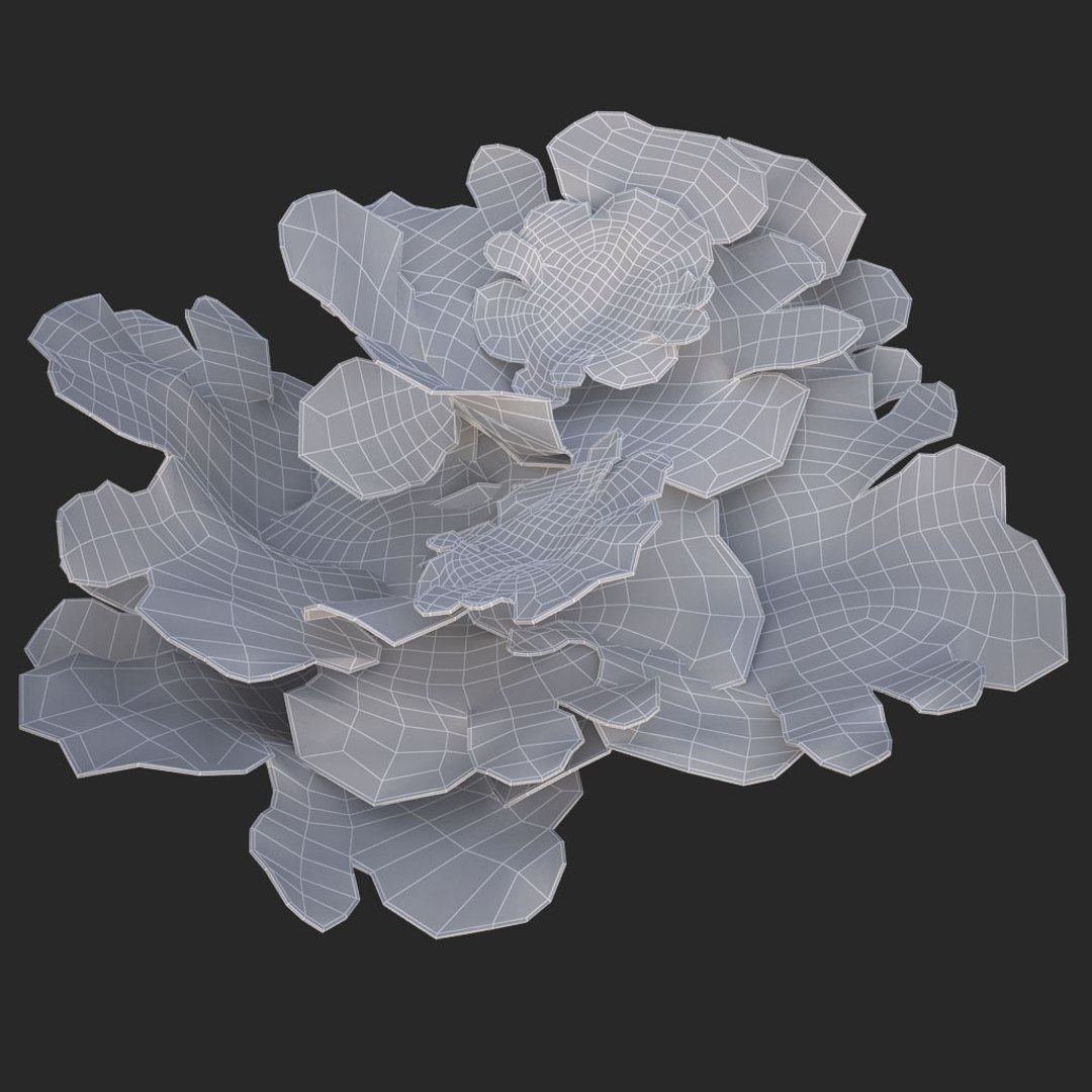 corals sun brain 3D model https://p.turbosquid.com/ts-thumb/ML/8BTIaU/HmLVC9XX/01411/jpg/1519239687/1920x1080/fit_q87/dd03fa3b81e0634de1519fcb2cec335148e937f9/01411.jpg