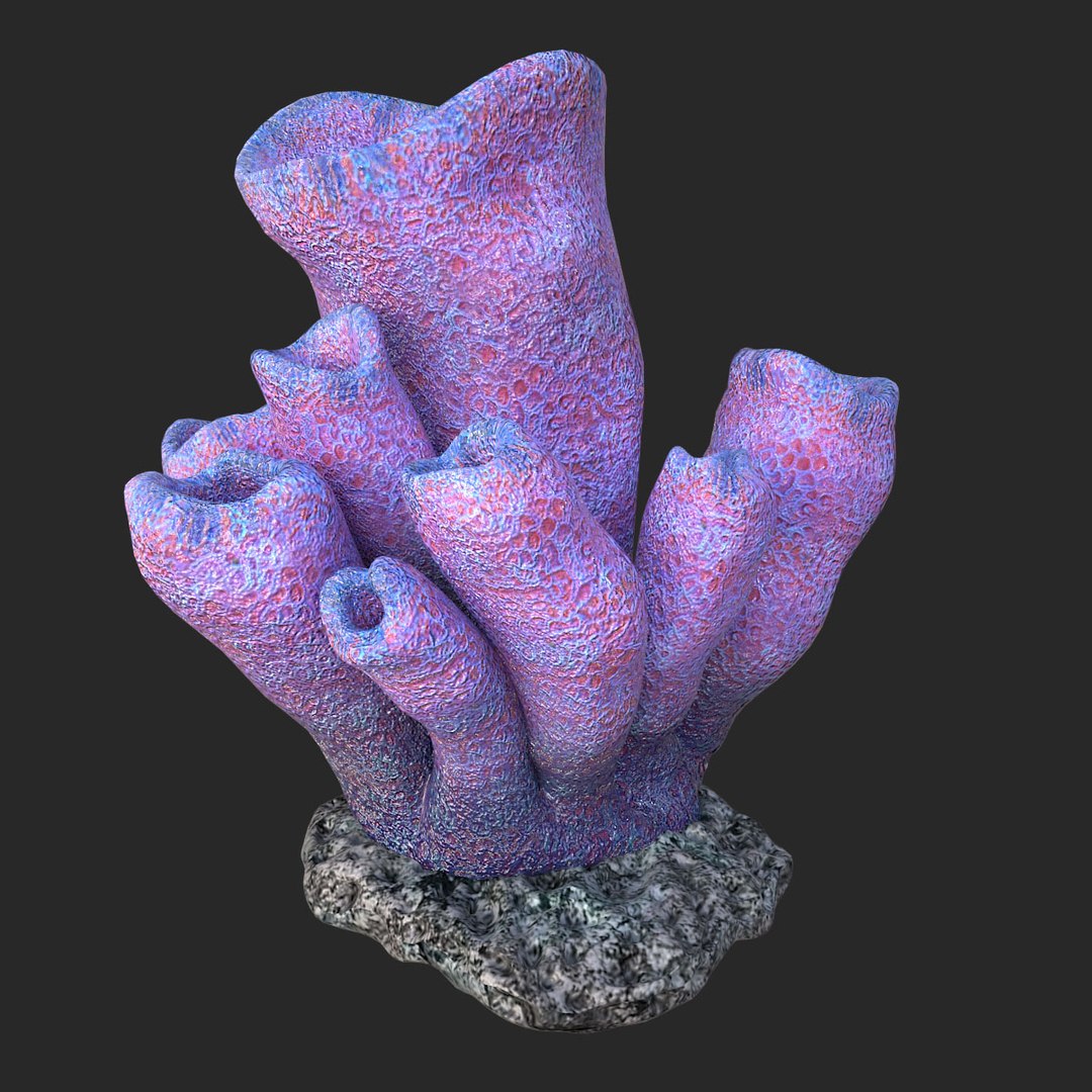 corals sun brain 3D model https://p.turbosquid.com/ts-thumb/ML/8BTIaU/IaLiFlAM/098/jpg/1519238930/1920x1080/fit_q87/9630b2d6d6ddf1d95ef16f6fc7739669cffef154/098.jpg