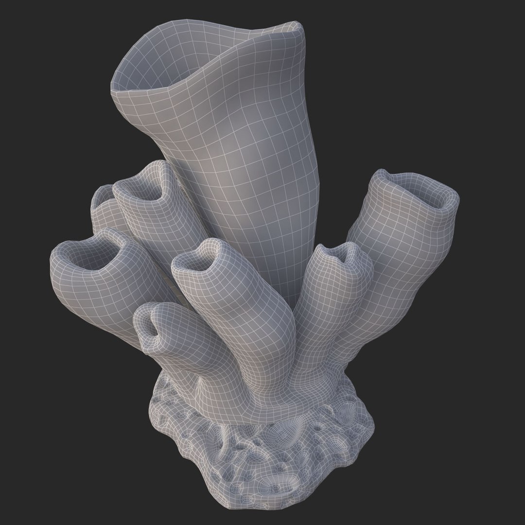 corals sun brain 3D model https://p.turbosquid.com/ts-thumb/ML/8BTIaU/IiTO4Vbd/0913/jpg/1519238930/1920x1080/fit_q87/d7d5c3cb3720a57d12a9ce9d90c25136b33bf85b/0913.jpg