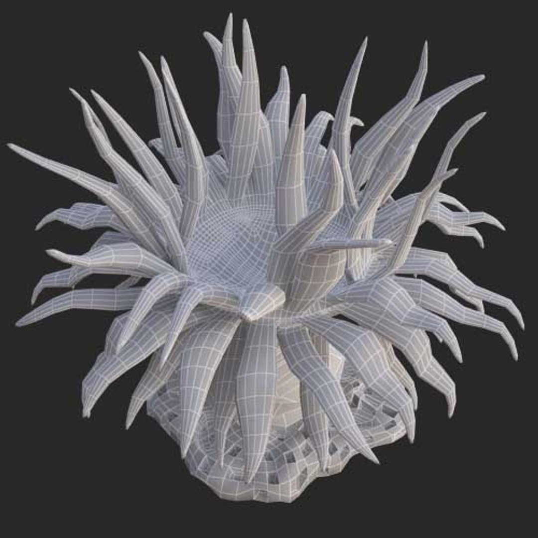corals sun brain 3D model https://p.turbosquid.com/ts-thumb/ML/8BTIaU/JGiDhwla/019/jpg/1519238098/1920x1080/fit_q87/8f9590411e8fc34deb67cb7611732bff0cb927d0/019.jpg