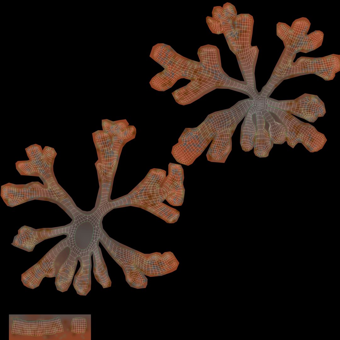 corals sun brain 3D model https://p.turbosquid.com/ts-thumb/ML/8BTIaU/JQbAhbN3/0610/jpg/1519238634/1920x1080/fit_q87/88c21c61ccd42471bb54e1a31180b1983595ff94/0610.jpg
