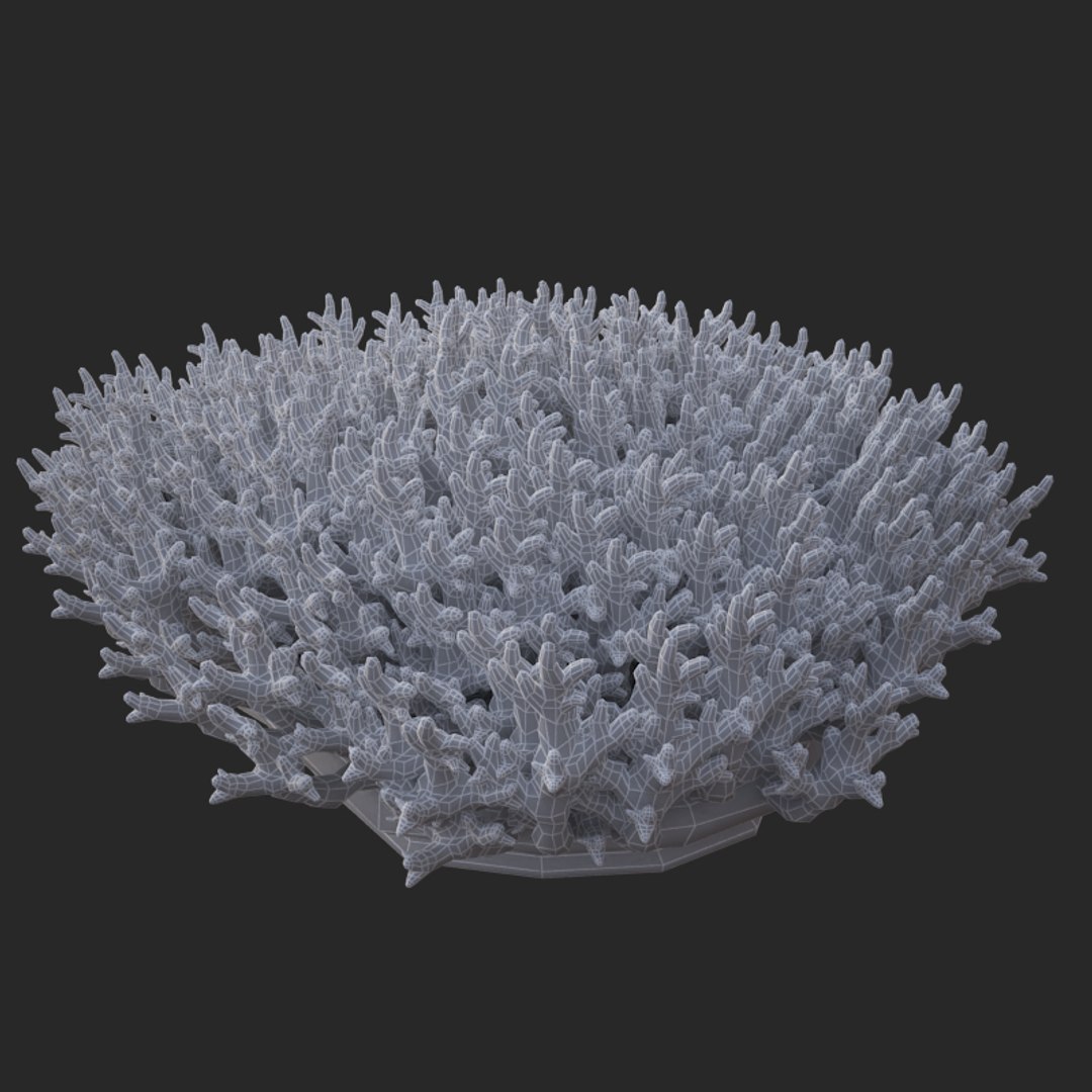corals sun brain 3D model https://p.turbosquid.com/ts-thumb/ML/8BTIaU/NT3FYR78/02014/jpg/1519241115/1920x1080/fit_q87/ea92b455a77b57d86f537fa4a43200cc1cdd3125/02014.jpg
