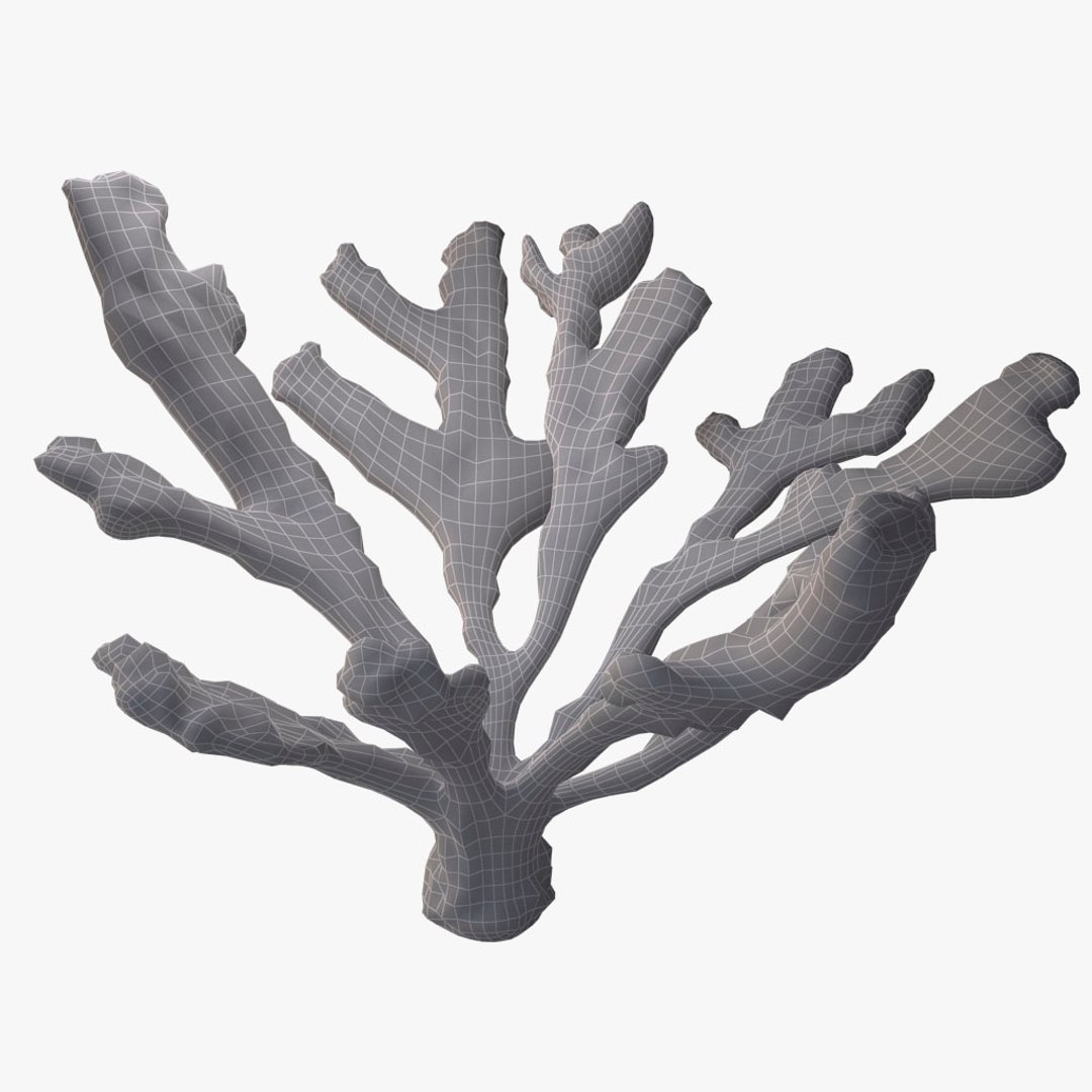 corals sun brain 3D model https://p.turbosquid.com/ts-thumb/ML/8BTIaU/P7BZJ5Mf/068/jpg/1519238634/1920x1080/fit_q87/25d952fb44993638d05d11581d39f2dda1ae26d2/068.jpg