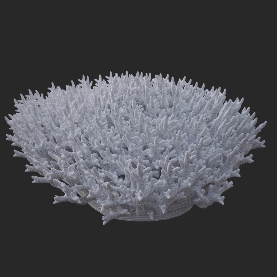 corals sun brain 3D model https://p.turbosquid.com/ts-thumb/ML/8BTIaU/QhfoWk5r/02015/jpg/1519241115/1920x1080/fit_q87/44ae5338e2c67e6fa25afc25d9f0267dbc1a7b69/02015.jpg