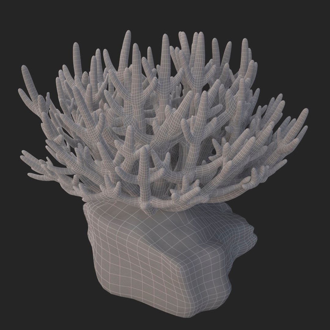 corals sun brain 3D model https://p.turbosquid.com/ts-thumb/ML/8BTIaU/TmIbEOYd/048/jpg/1519238311/1920x1080/fit_q87/d94ea15d332fad31901c7d2c6e2da476ead68cc6/048.jpg