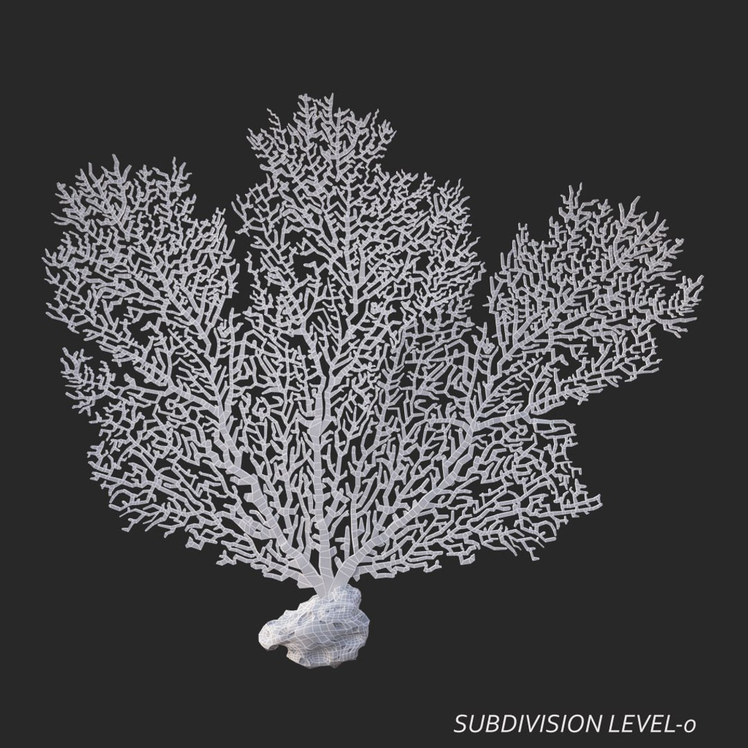 corals sun brain 3D model https://p.turbosquid.com/ts-thumb/ML/8BTIaU/UAYdTy4D/0109/jpg/1519239035/1920x1080/fit_q87/c8b25df664287f3ffe6466c69b14eaf6c094bbe3/0109.jpg