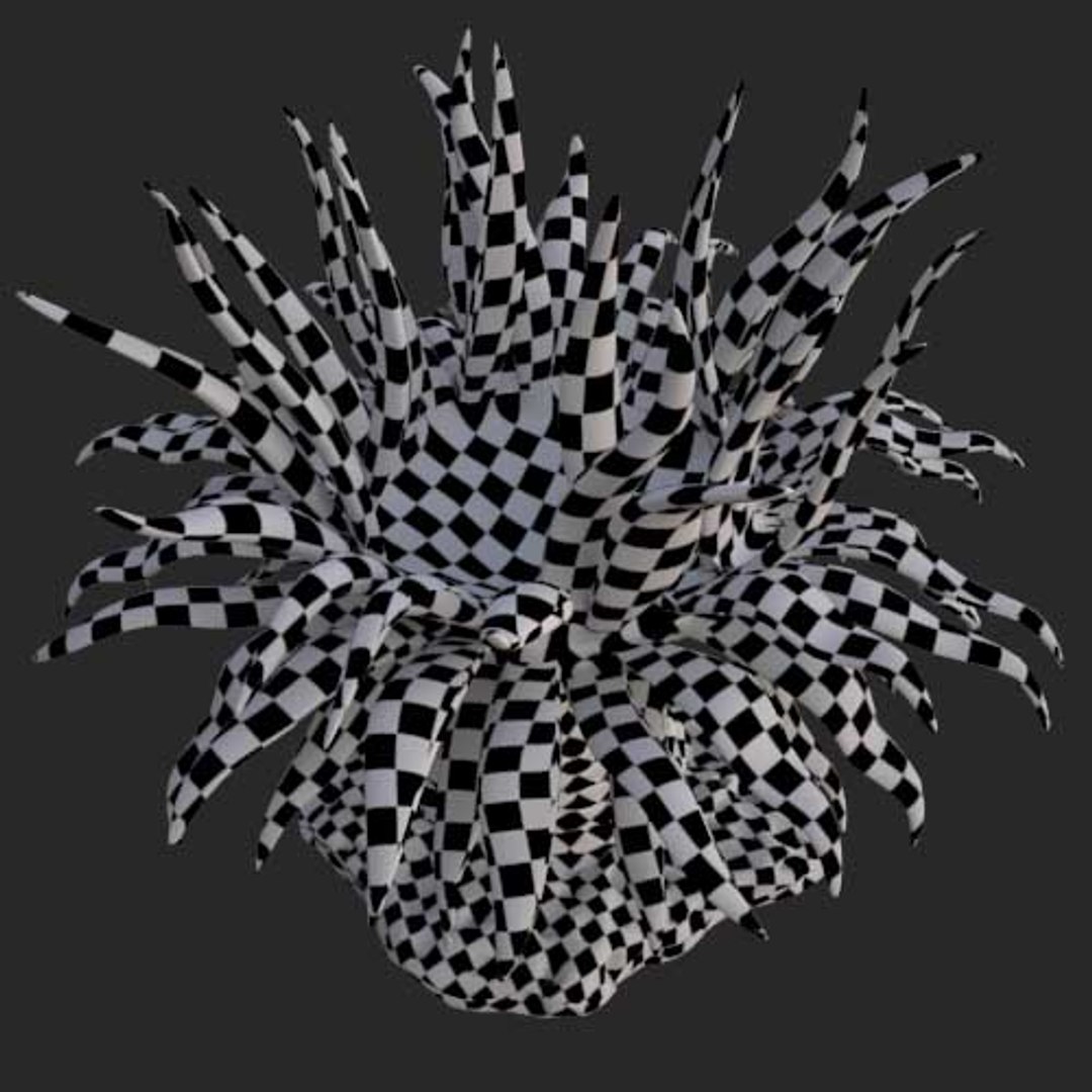 corals sun brain 3D model https://p.turbosquid.com/ts-thumb/ML/8BTIaU/VFQIIC3G/0111/jpg/1519238098/1920x1080/fit_q87/67cef5a2560fe1efc6f0a4f3c75a0580a4015918/0111.jpg