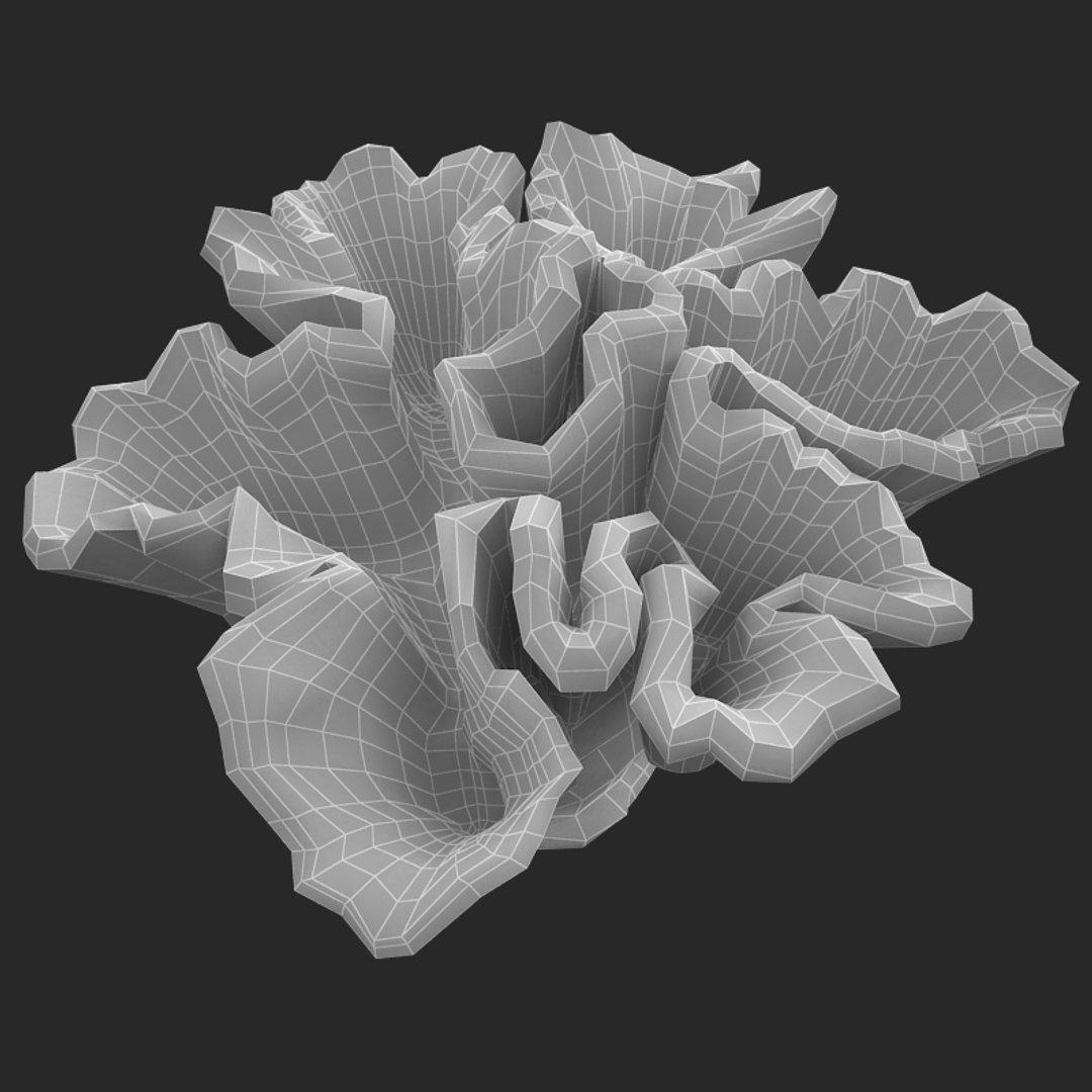 corals sun brain 3D model https://p.turbosquid.com/ts-thumb/ML/8BTIaU/VIsQGyGq/0159/jpg/1519239817/1920x1080/fit_q87/ca25380786a58cbe92cea2ee4c60a2faa2a8305f/0159.jpg
