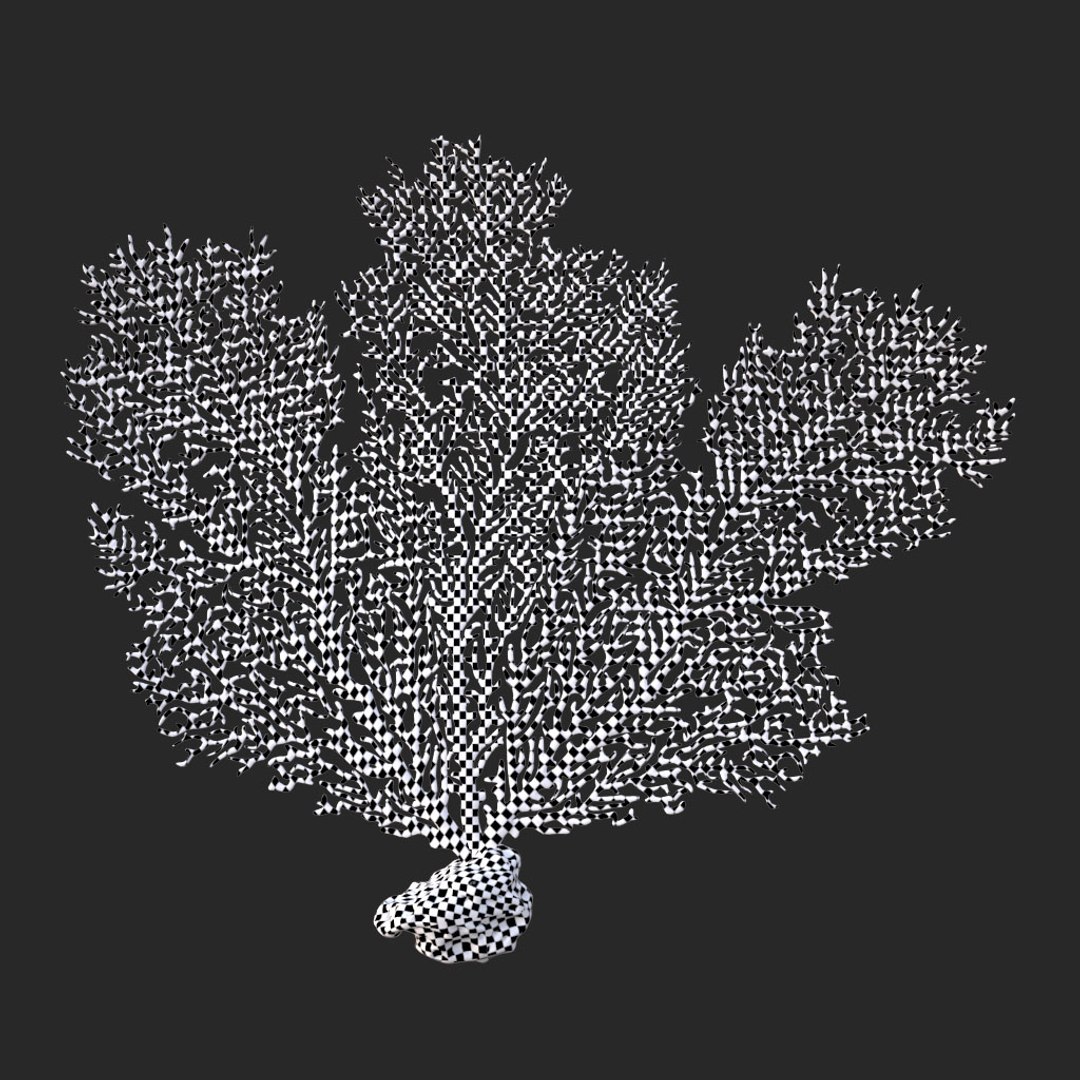 corals sun brain 3D model https://p.turbosquid.com/ts-thumb/ML/8BTIaU/YTnDe7ek/01014/jpg/1519239035/1920x1080/fit_q87/060725d2508adba4030a683080e33b6b01c64a10/01014.jpg
