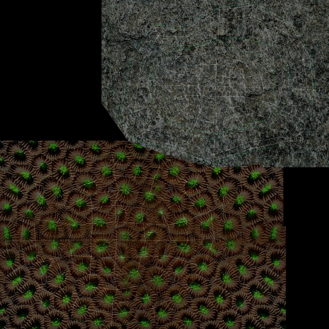 corals sun brain 3D model https://p.turbosquid.com/ts-thumb/ML/8BTIaU/ZpLo9JlY/01311/jpg/1519239586/1920x1080/fit_q87/33a86a3d92d4121bf9c47b64ae83a485b5491f4a/01311.jpg