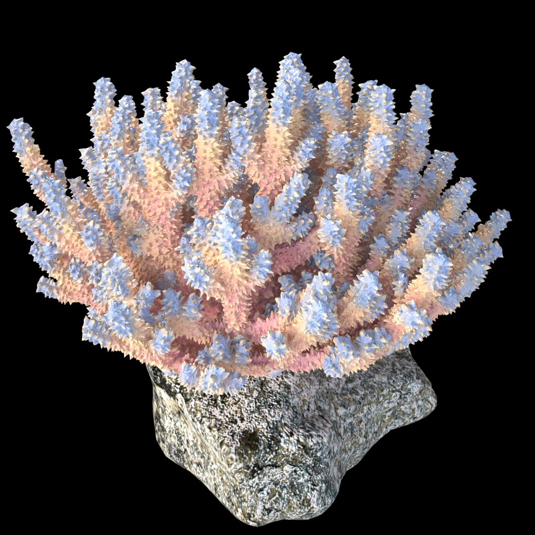 corals sun brain 3D model https://p.turbosquid.com/ts-thumb/ML/8BTIaU/asFPomzQ/042/jpg/1519238311/1920x1080/fit_q87/5b38ff5a4e6584e3e966d345891c3b0d0f552c10/042.jpg
