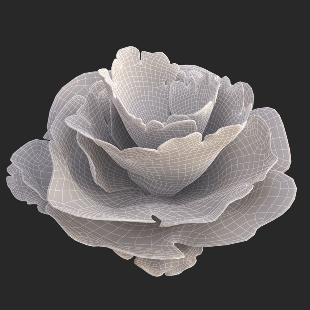 corals sun brain 3D model https://p.turbosquid.com/ts-thumb/ML/8BTIaU/bZNfCiIP/01614/jpg/1519239914/1920x1080/fit_q87/e72a75e1eb59ed9e7aec519189a0467fa26b0b08/01614.jpg