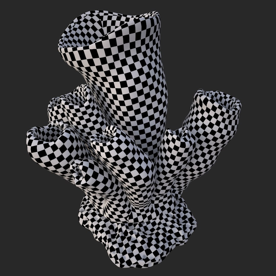 corals sun brain 3D model https://p.turbosquid.com/ts-thumb/ML/8BTIaU/bxuYF4gI/0914/jpg/1519238930/1920x1080/fit_q87/15bc9f33105bba0f23c6d968a0788e18182542b9/0914.jpg