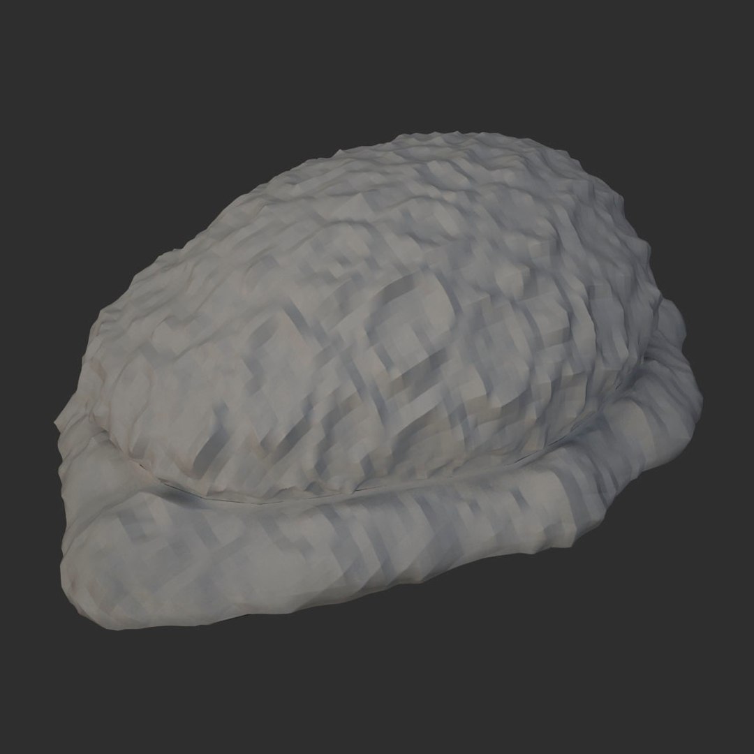 corals sun brain 3D model https://p.turbosquid.com/ts-thumb/ML/8BTIaU/dSIWKY9z/0139/jpg/1519239586/1920x1080/fit_q87/cc6e0b7cdd563aeacdd5ad7ada41d096c37829a4/0139.jpg