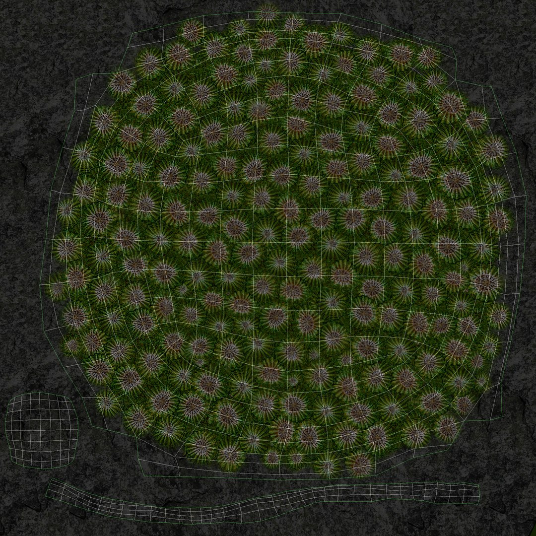 corals sun brain 3D model https://p.turbosquid.com/ts-thumb/ML/8BTIaU/jMGoR5bt/01119/jpg/1519239200/1920x1080/fit_q87/1305f76c89f84eb72daed53790f9760424ee2e1b/01119.jpg