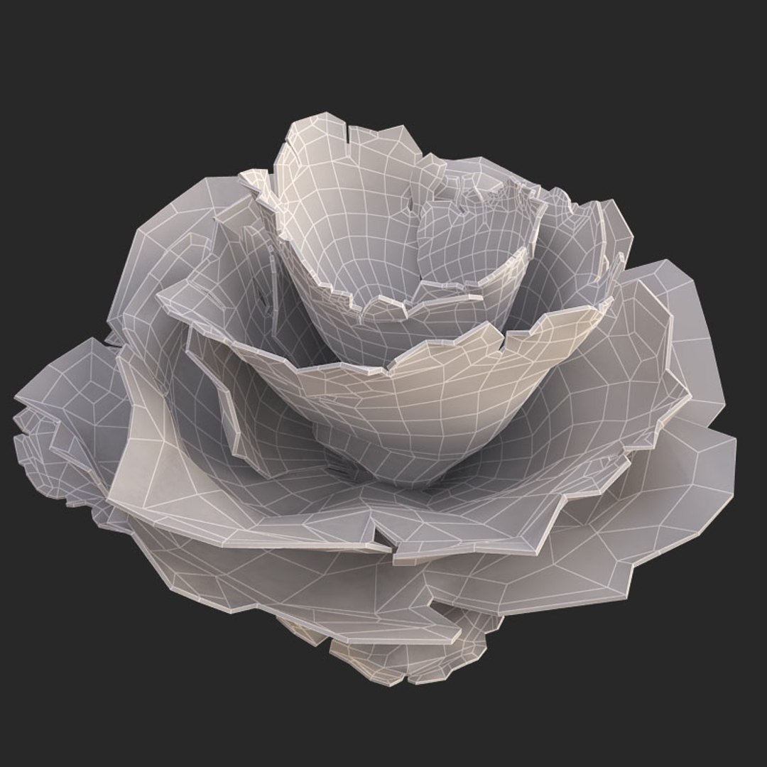 corals sun brain 3D model https://p.turbosquid.com/ts-thumb/ML/8BTIaU/jfUhYrP1/01613/jpg/1519239914/1920x1080/fit_q87/7a5d24bcf656caf461b4e3286f6accfe22d4cdde/01613.jpg