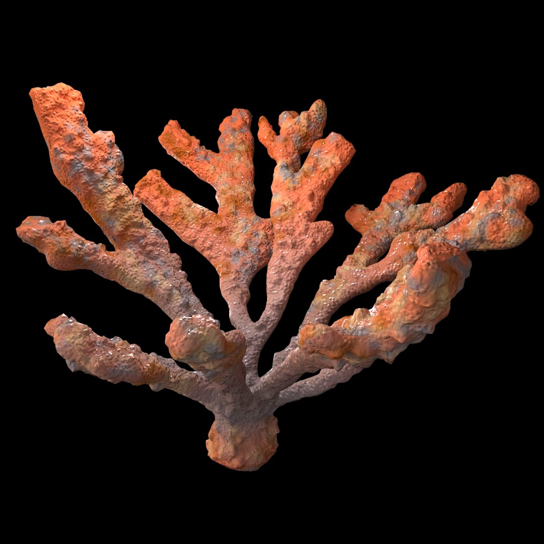 corals sun brain 3D model https://p.turbosquid.com/ts-thumb/ML/8BTIaU/jodpbEru/065/jpg/1519238634/1920x1080/fit_q87/8b492caee925e486fe619cb5d99adefbd0efa76f/065.jpg