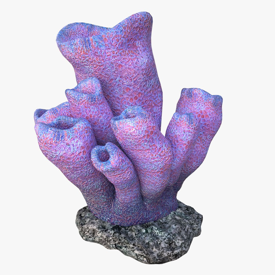 corals sun brain 3D model https://p.turbosquid.com/ts-thumb/ML/8BTIaU/mc83QSQ6/094/jpg/1519238929/1920x1080/fit_q87/9130b5d4313305757fcd2dc3871df887a46bb438/094.jpg