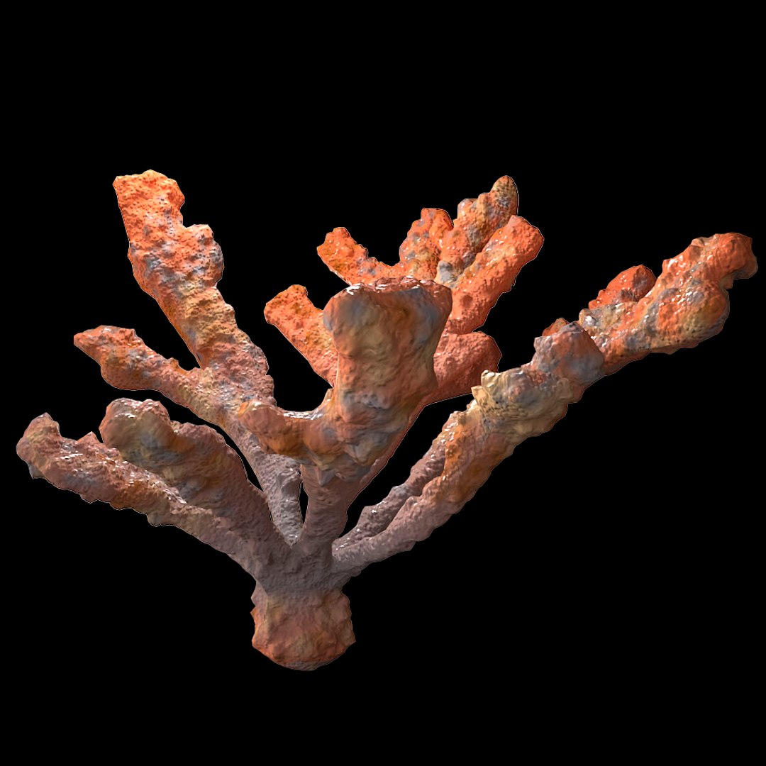 corals sun brain 3D model https://p.turbosquid.com/ts-thumb/ML/8BTIaU/nFcCXGiE/067/jpg/1519238634/1920x1080/fit_q87/0072347315465409ed90a9b03138ef77fd95d4a3/067.jpg