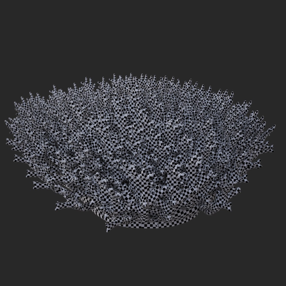 corals sun brain 3D model https://p.turbosquid.com/ts-thumb/ML/8BTIaU/oOdGpJPN/02016/jpg/1519241115/1920x1080/fit_q87/c7c67d4582e5b56eaaafa1bbfb008bcacec583c7/02016.jpg