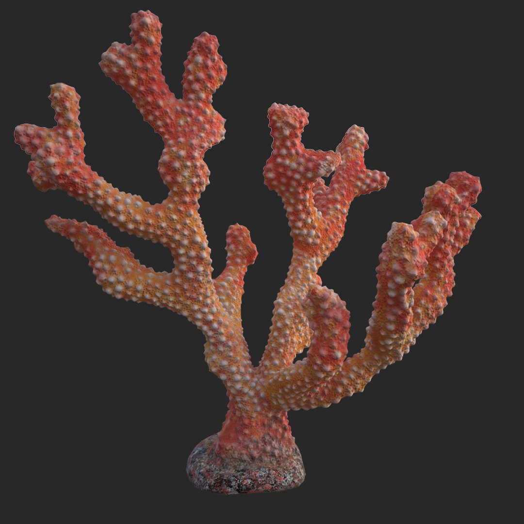 corals sun brain 3D model https://p.turbosquid.com/ts-thumb/ML/8BTIaU/sE58WPwX/055/jpg/1519238526/1920x1080/fit_q87/c87d31cb4e393899815d55ea812207f25689ab51/055.jpg