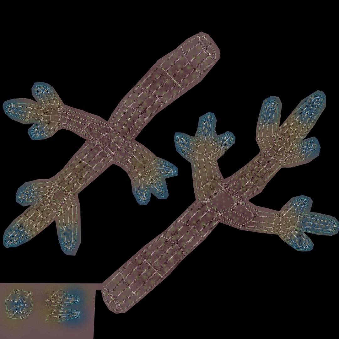 corals sun brain 3D model https://p.turbosquid.com/ts-thumb/ML/8BTIaU/sJsmAMpf/0410/jpg/1519238311/1920x1080/fit_q87/6aaa77200f0639925ab15780f3f48fac342e7dee/0410.jpg