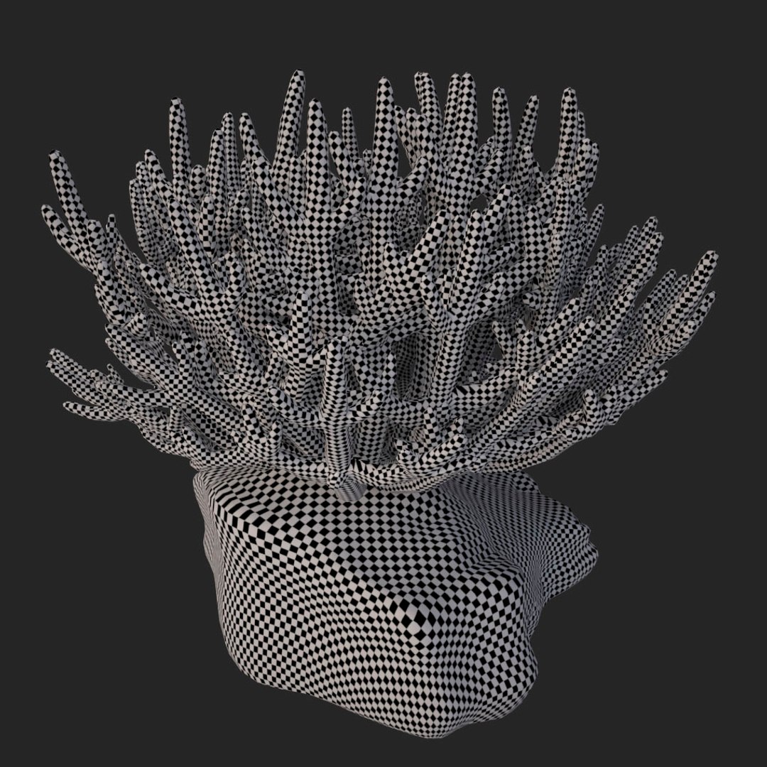 corals sun brain 3D model https://p.turbosquid.com/ts-thumb/ML/8BTIaU/tlmQxhmj/049/jpg/1519238311/1920x1080/fit_q87/052f00d87275f68ed0ce1d3de0d40251a6ef537c/049.jpg