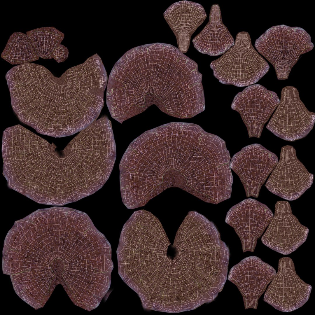 corals sun brain 3D model https://p.turbosquid.com/ts-thumb/ML/8BTIaU/wgZpuj9p/01616/jpg/1519239914/1920x1080/fit_q87/c61ab547d99e17015658b789a0e7ba0ae3e3c91e/01616.jpg