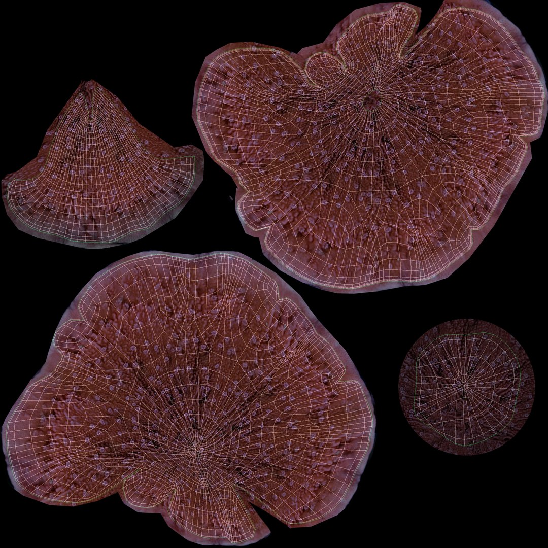 corals sun brain 3D model https://p.turbosquid.com/ts-thumb/ML/8BTIaU/zvdsRAol/0716/jpg/1519238733/1920x1080/fit_q87/10d0137caaa8fb56a10f5b52023678447dd33316/0716.jpg