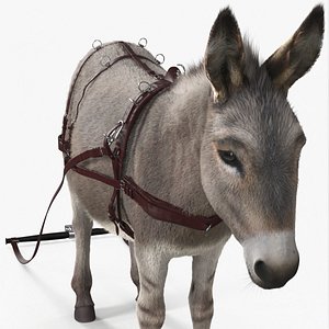 3D Draft Donkey With Harness Fur