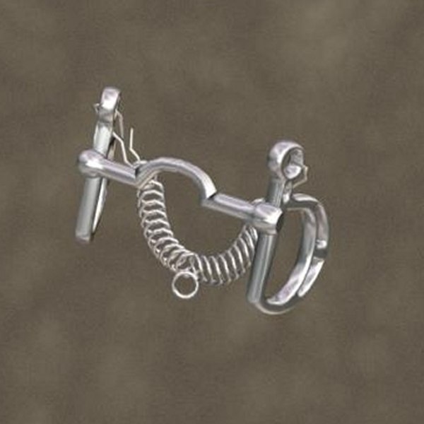 english bit zipped 3d model