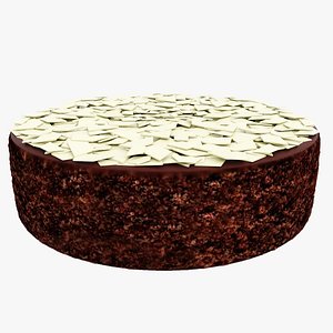Chocolate cake with white chocolate 3D