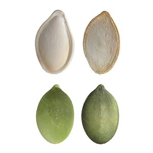 Pumpkin seeds set 3D model