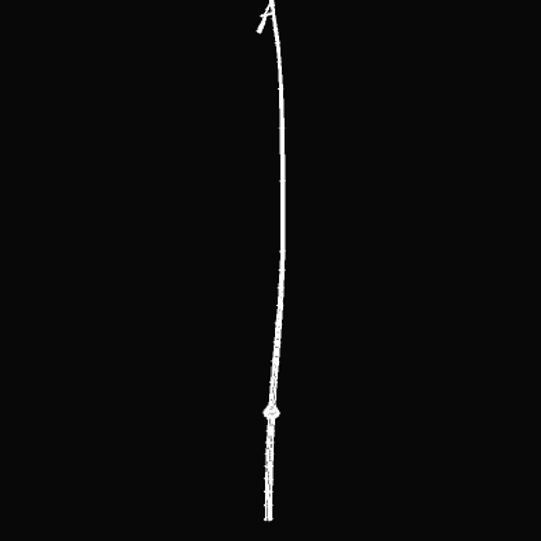 driving whip zipped 3d model