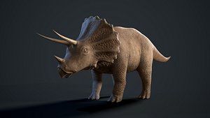 triceratops rigging animation model