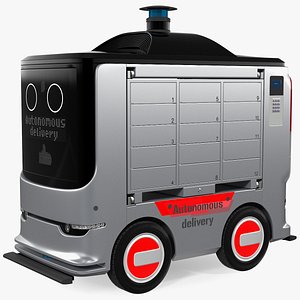 3D autonomous delivery service robot