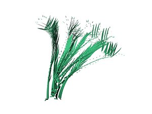 plants 3d model