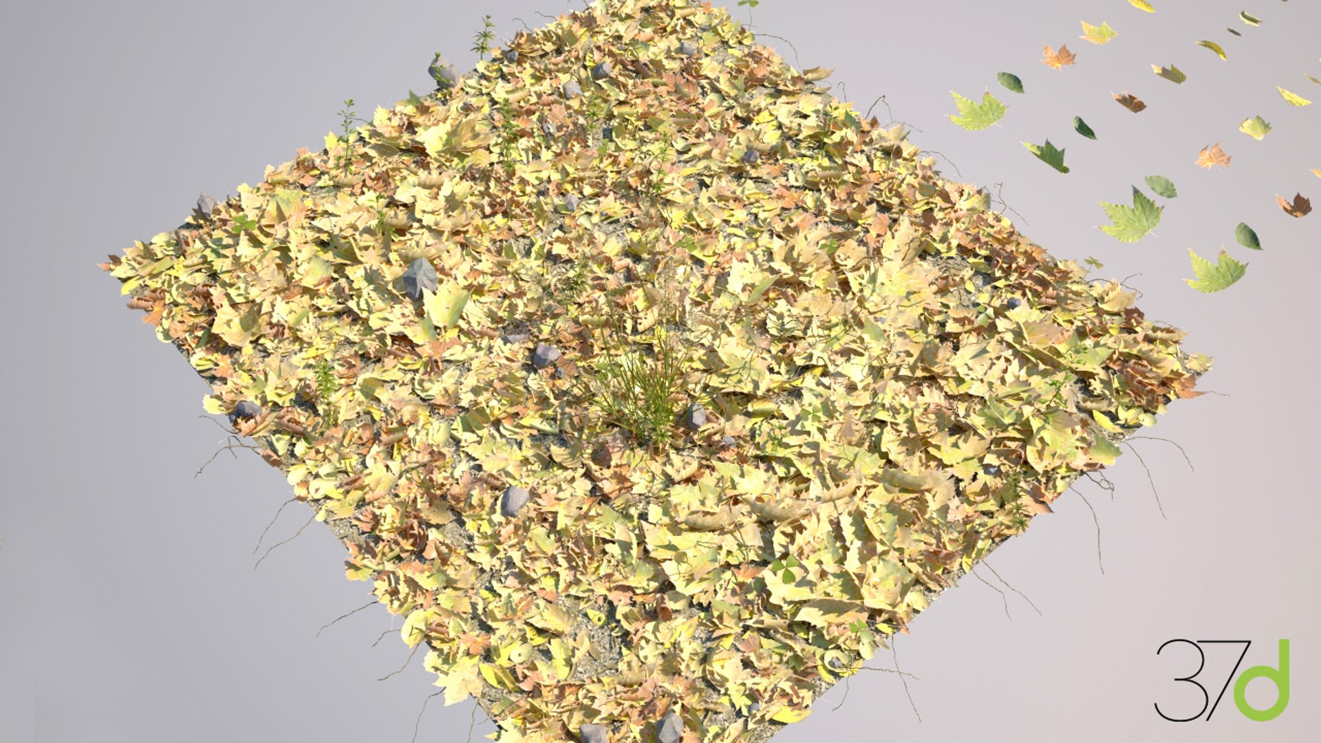 3ds fallen leaves photorealistic
